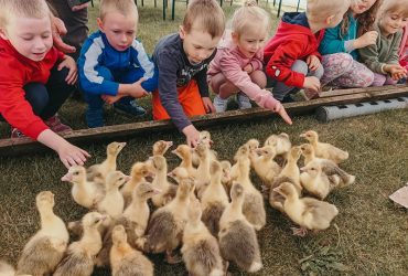 Ekologicznie z Fundacją Hodowców Polskiej Białej Gęsi_05